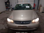 2005 Chevrolet Classic Tan vin: 1G1ND52FX5M199771