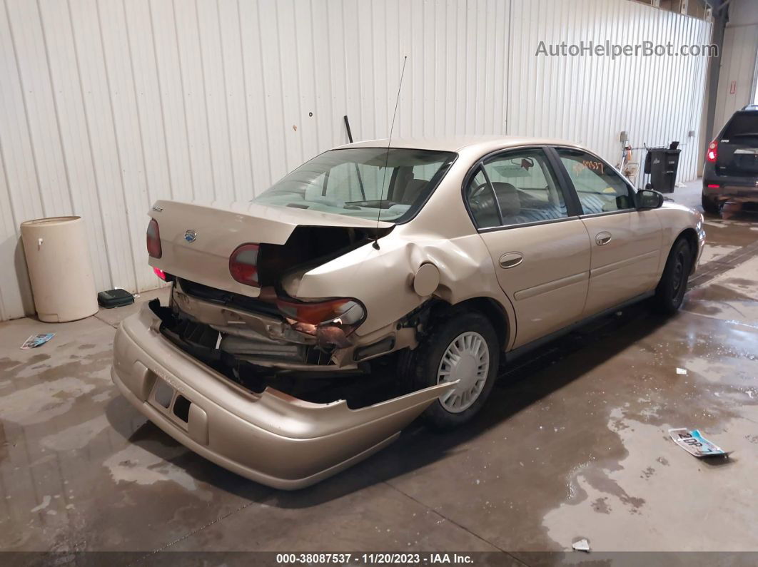 2005 Chevrolet Classic Tan vin: 1G1ND52FX5M199771