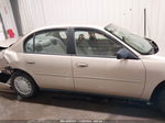 2005 Chevrolet Classic Tan vin: 1G1ND52FX5M199771