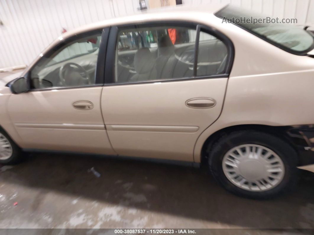 2005 Chevrolet Classic Tan vin: 1G1ND52FX5M199771