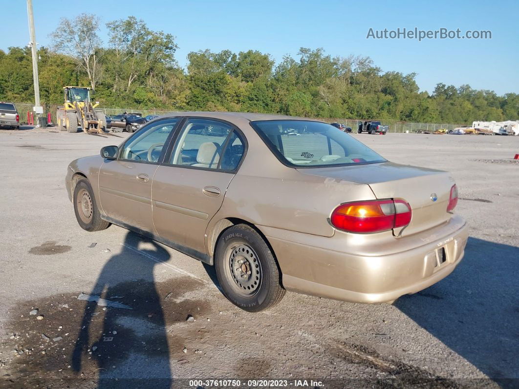 2005 Chevrolet Classic   Gold vin: 1G1ND52FX5M220473