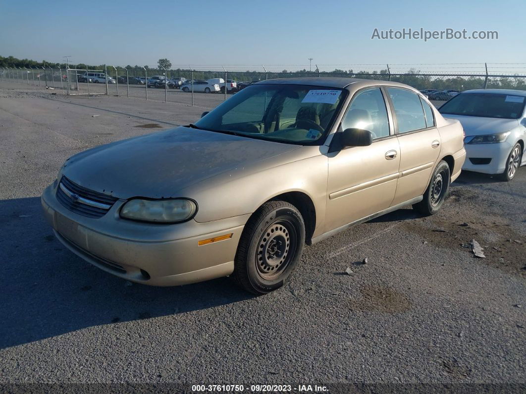 2005 Chevrolet Classic   Золотой vin: 1G1ND52FX5M220473