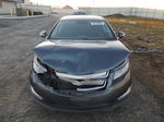 2013 Chevrolet Volt  Gray vin: 1G1RA6E4XDU103517