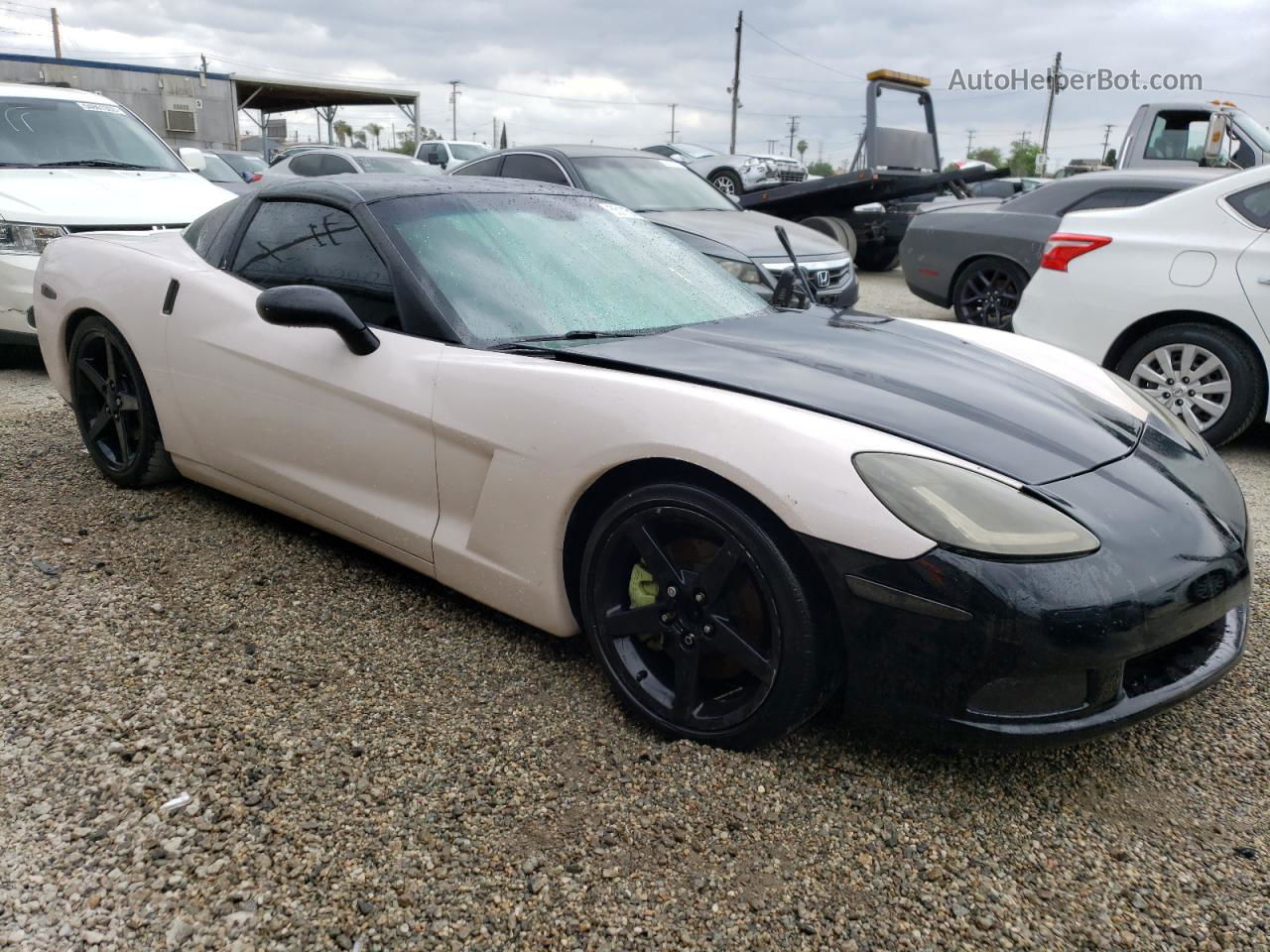 2006 Chevrolet Corvette  Двухцветный vin: 1G1YY25U165116072