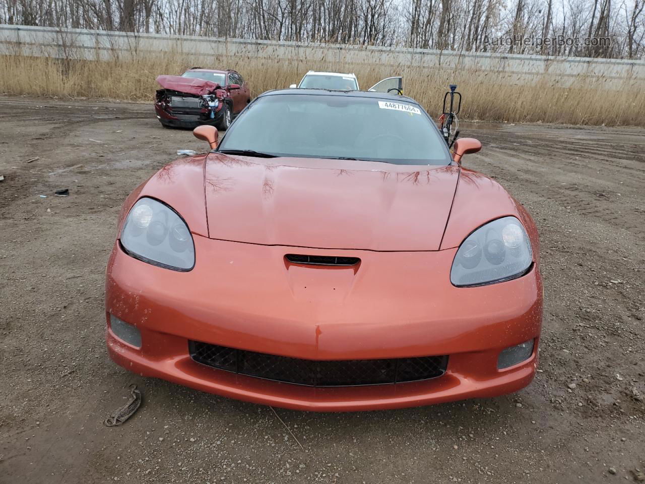 2006 Chevrolet Corvette  Оранжевый vin: 1G1YY26U365106576