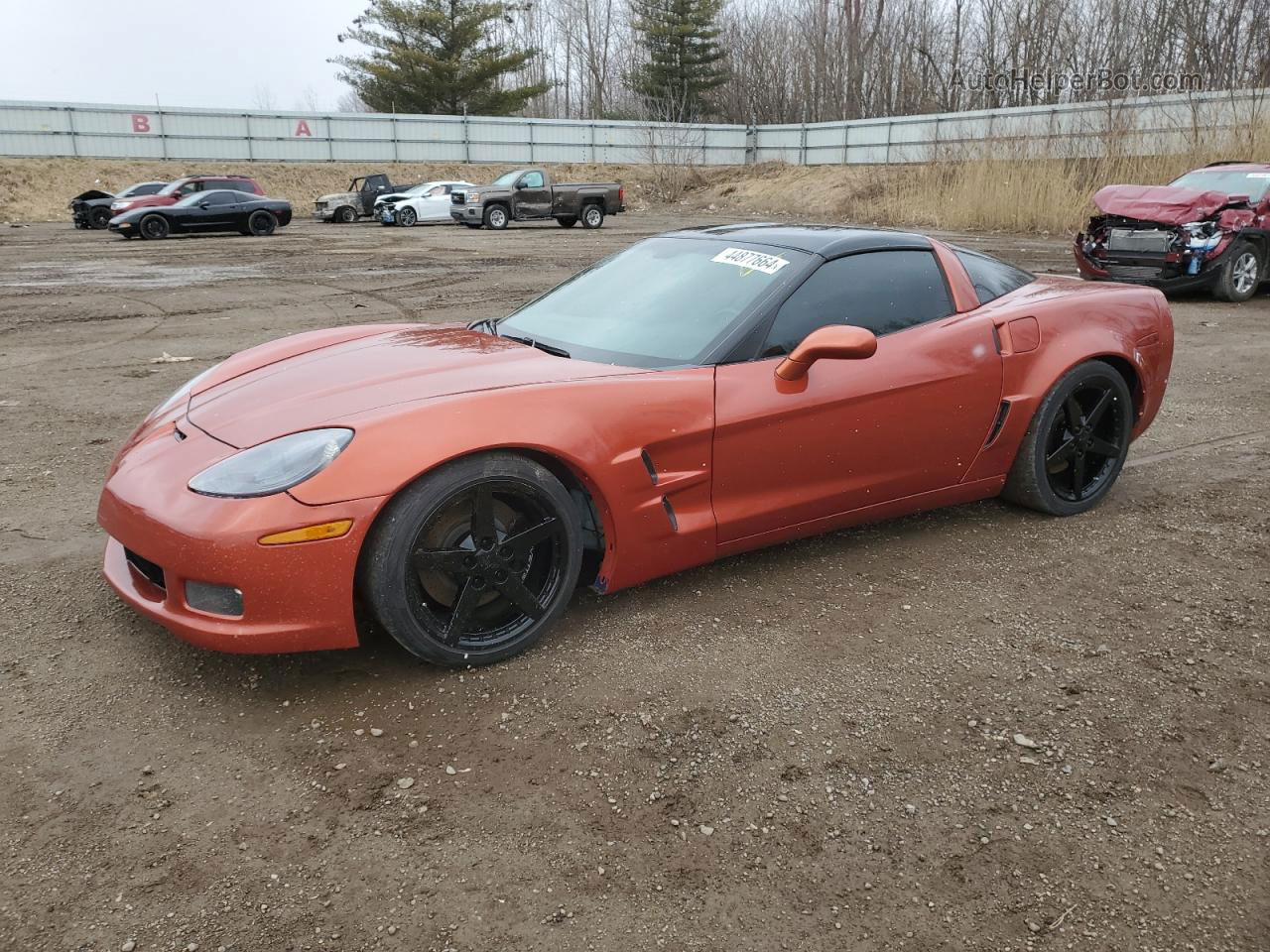 2006 Chevrolet Corvette  Оранжевый vin: 1G1YY26U365106576