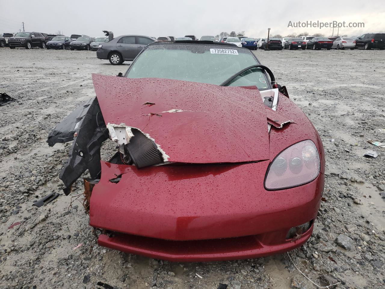 2006 Chevrolet Corvette  Бордовый vin: 1G1YY26U865116651