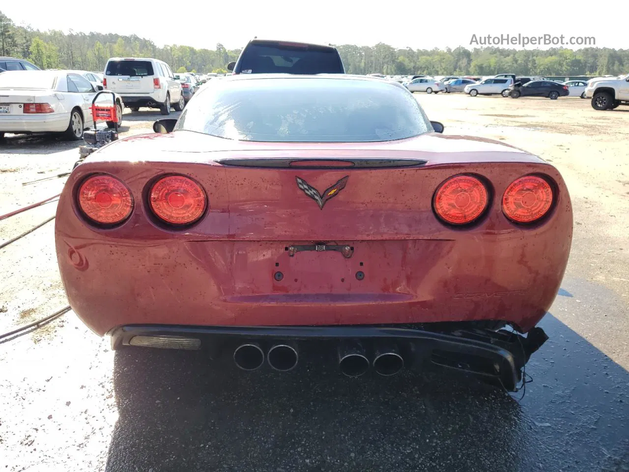 2006 Chevrolet Corvette  Maroon vin: 1G1YY26U965120790