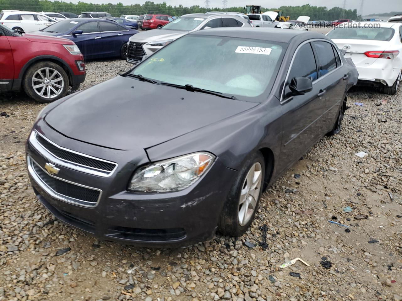 2012 Chevrolet Malibu Ls Gray vin: 1G1ZA5EU0CF389875