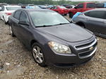 2012 Chevrolet Malibu Ls Gray vin: 1G1ZA5EU0CF389875