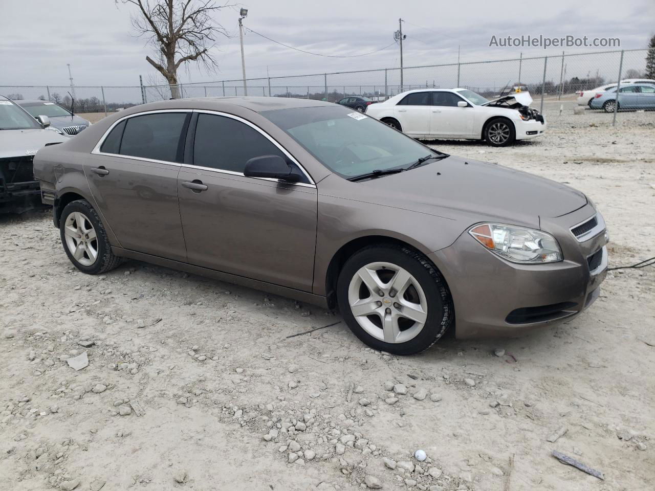 2012 Chevrolet Malibu Ls Желто-коричневый vin: 1G1ZB5E00CF264806