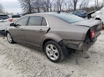 2012 Chevrolet Malibu Ls Желто-коричневый vin: 1G1ZB5E00CF264806