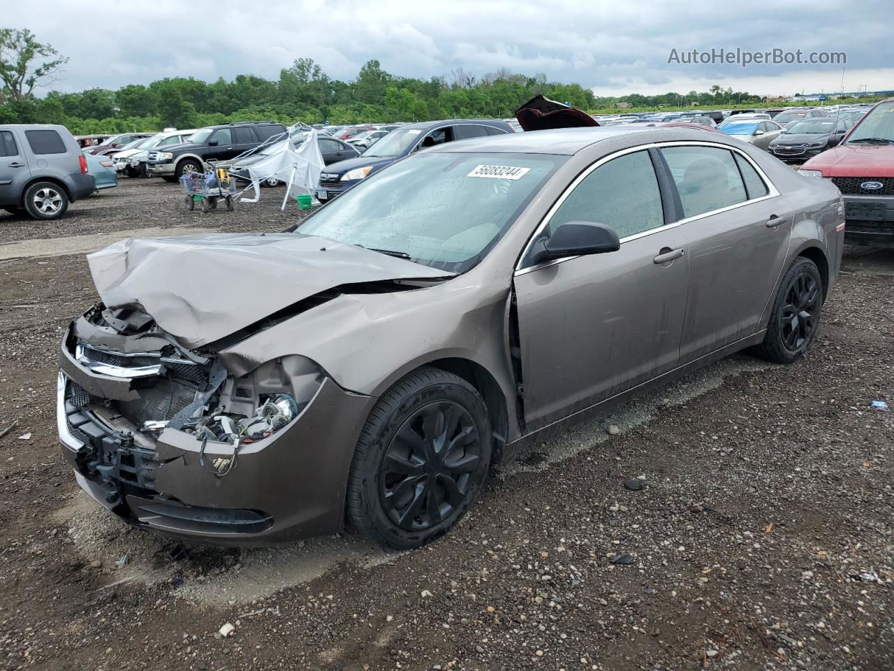 2012 Chevrolet Malibu Ls Желто-коричневый vin: 1G1ZB5E01CF193213