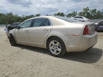 2012 Chevrolet Malibu Ls Tan vin: 1G1ZB5E01CF206090