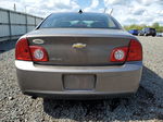 2012 Chevrolet Malibu Ls Tan vin: 1G1ZB5E0XCF207917