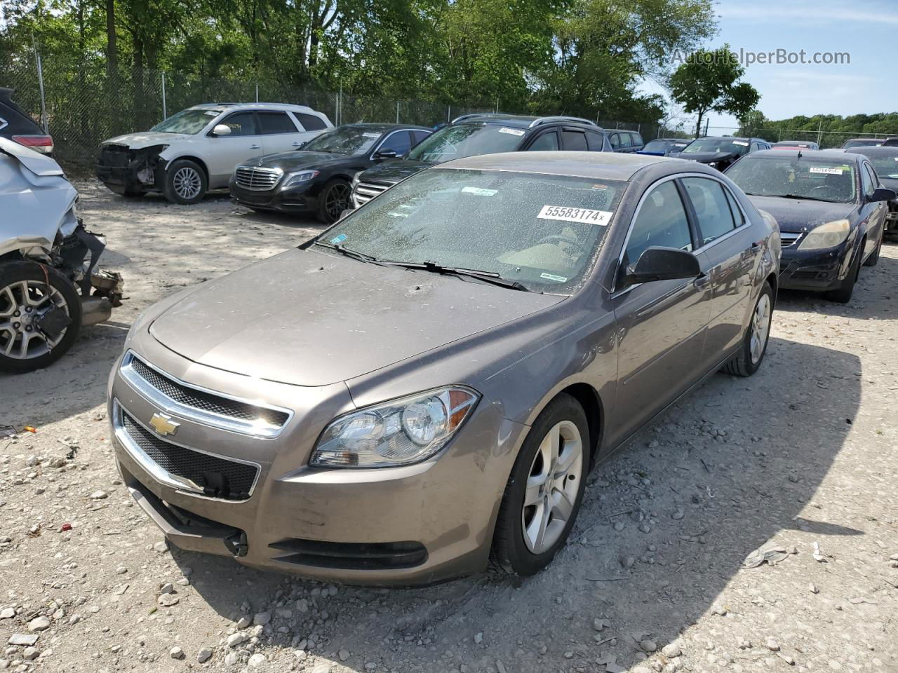 2012 Chevrolet Malibu Ls Tan vin: 1G1ZB5E0XCF352004