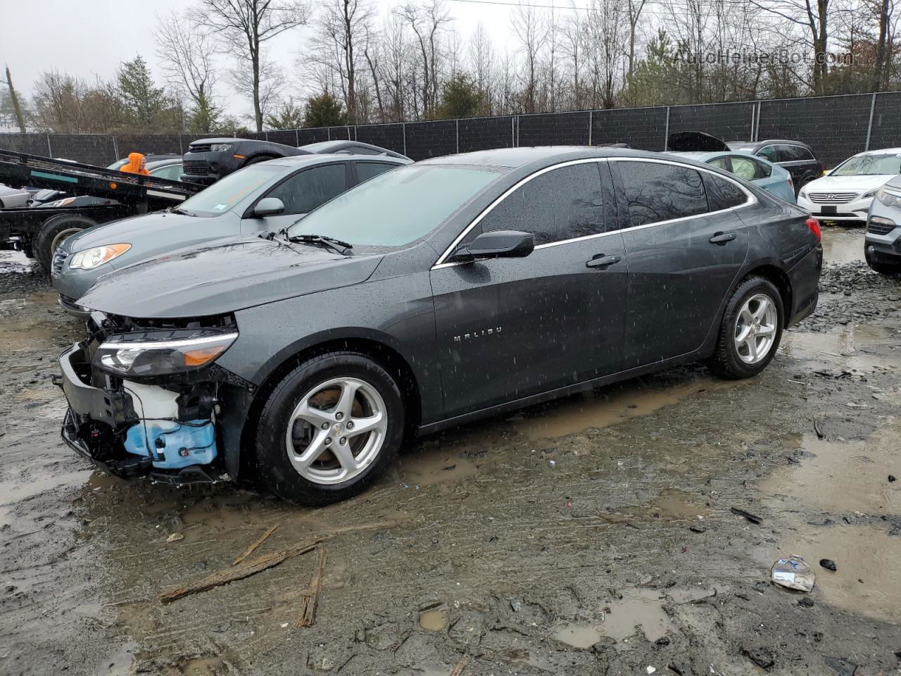 2018 Chevrolet Malibu Ls Серый vin: 1G1ZB5ST0JF207095