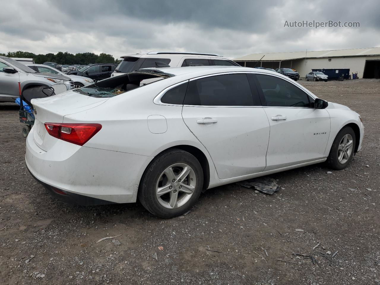 2021 Chevrolet Malibu Ls Белый vin: 1G1ZB5ST5MF021556