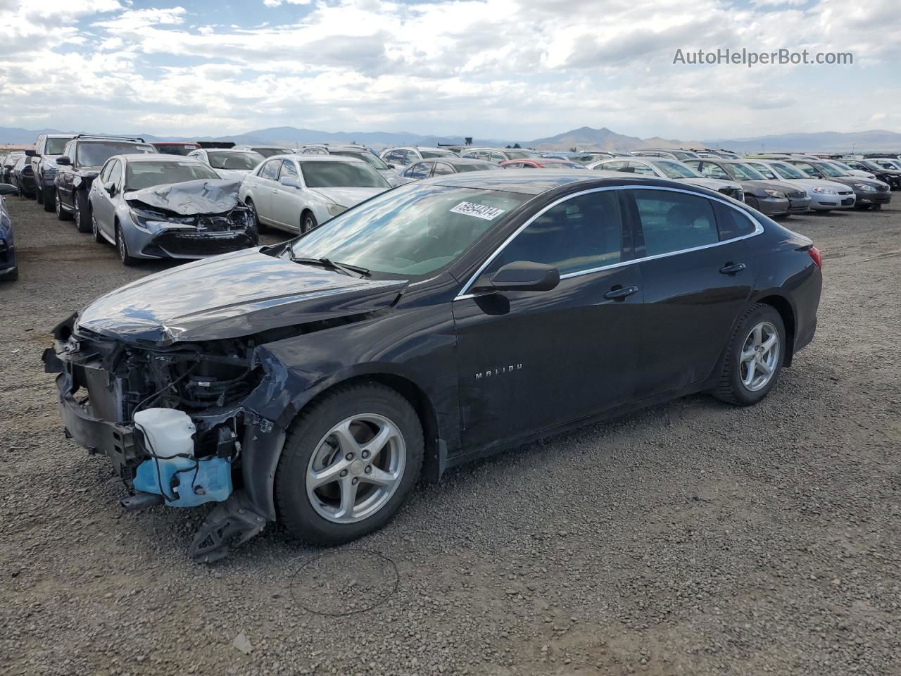 2017 Chevrolet Malibu Ls Black vin: 1G1ZB5ST8HF244938