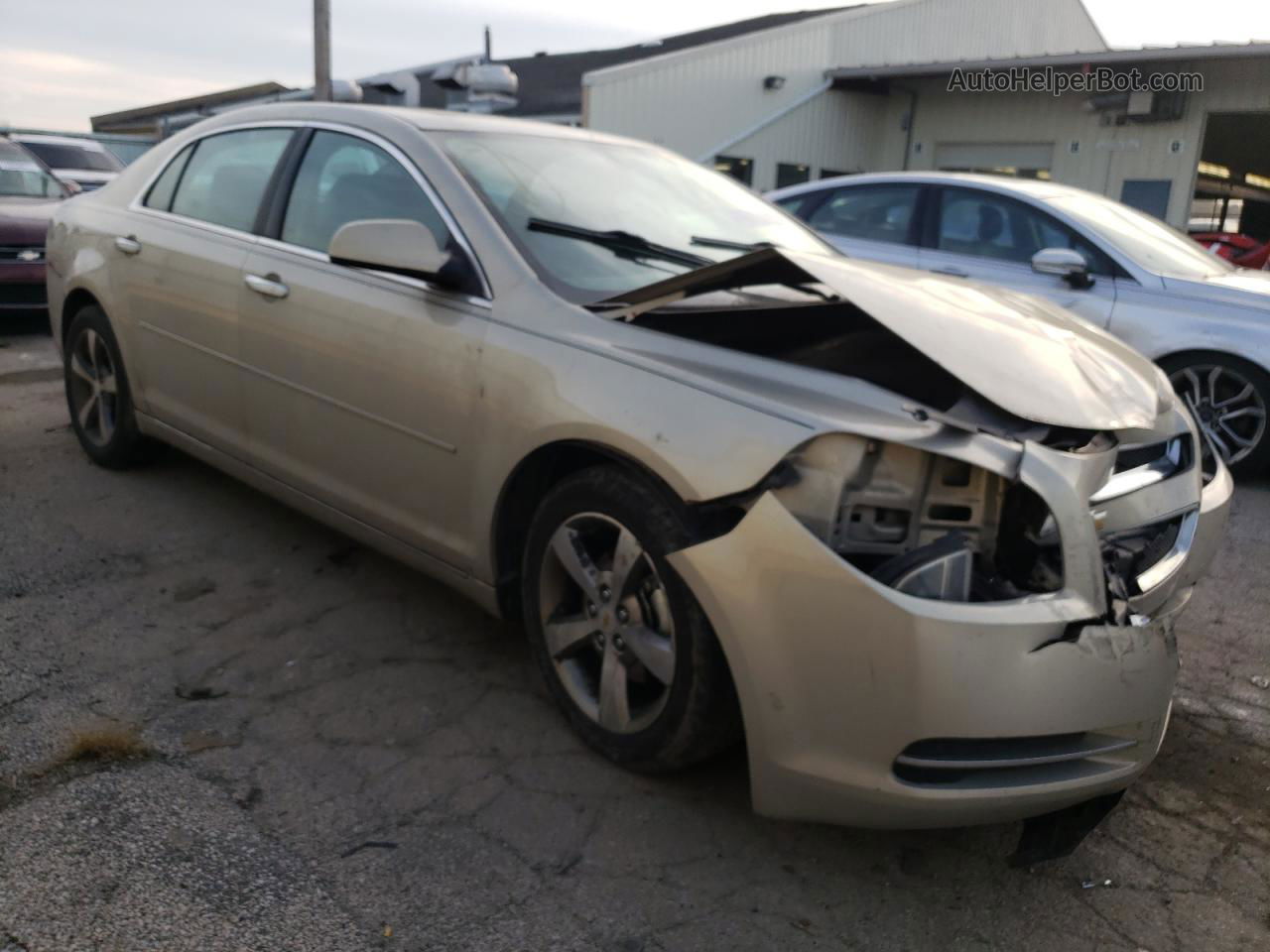 2012 Chevrolet Malibu 1lt Tan vin: 1G1ZC5EU3CF327154