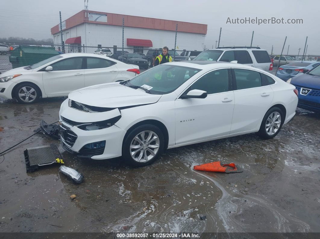 2019 Chevrolet Malibu Lt Белый vin: 1G1ZD5ST1KF143595