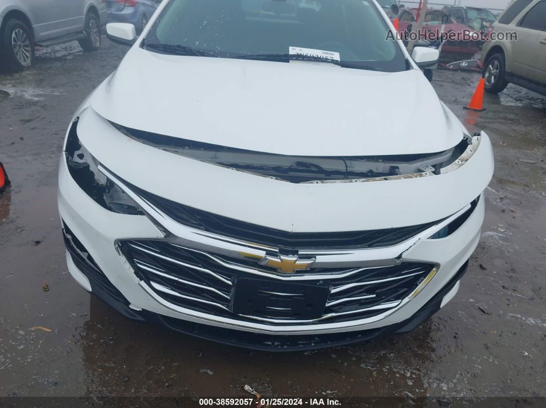 2019 Chevrolet Malibu Lt Белый vin: 1G1ZD5ST1KF143595