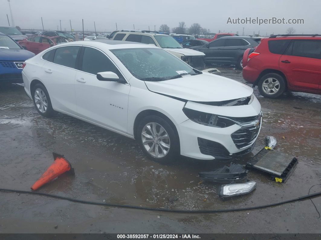 2019 Chevrolet Malibu Lt Белый vin: 1G1ZD5ST1KF143595