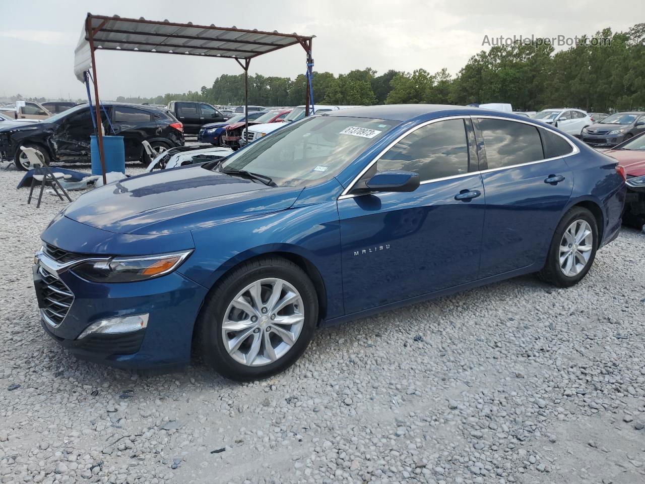 2019 Chevrolet Malibu Lt Blue vin: 1G1ZD5ST1KF165256