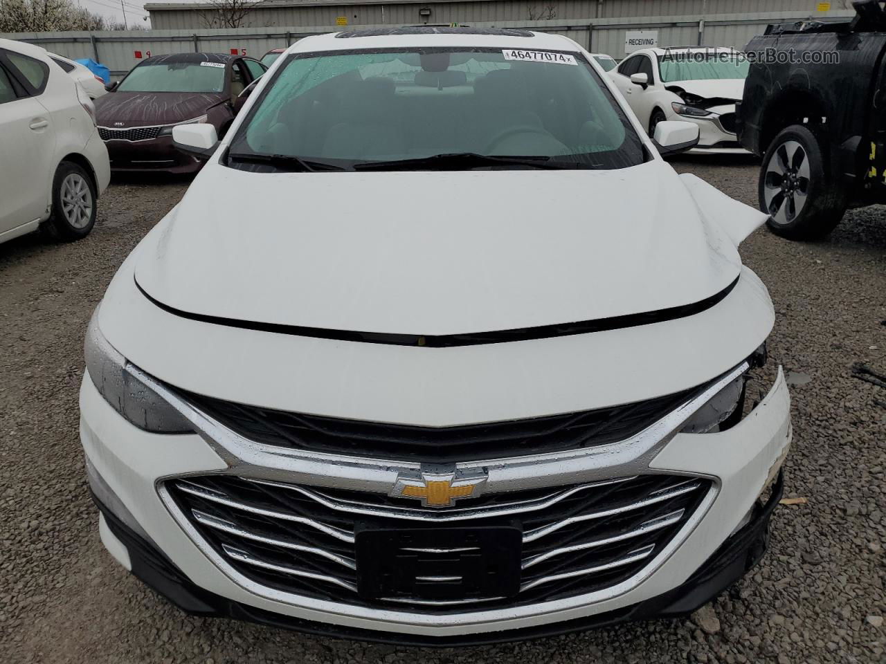 2021 Chevrolet Malibu Lt White vin: 1G1ZD5ST1MF016364