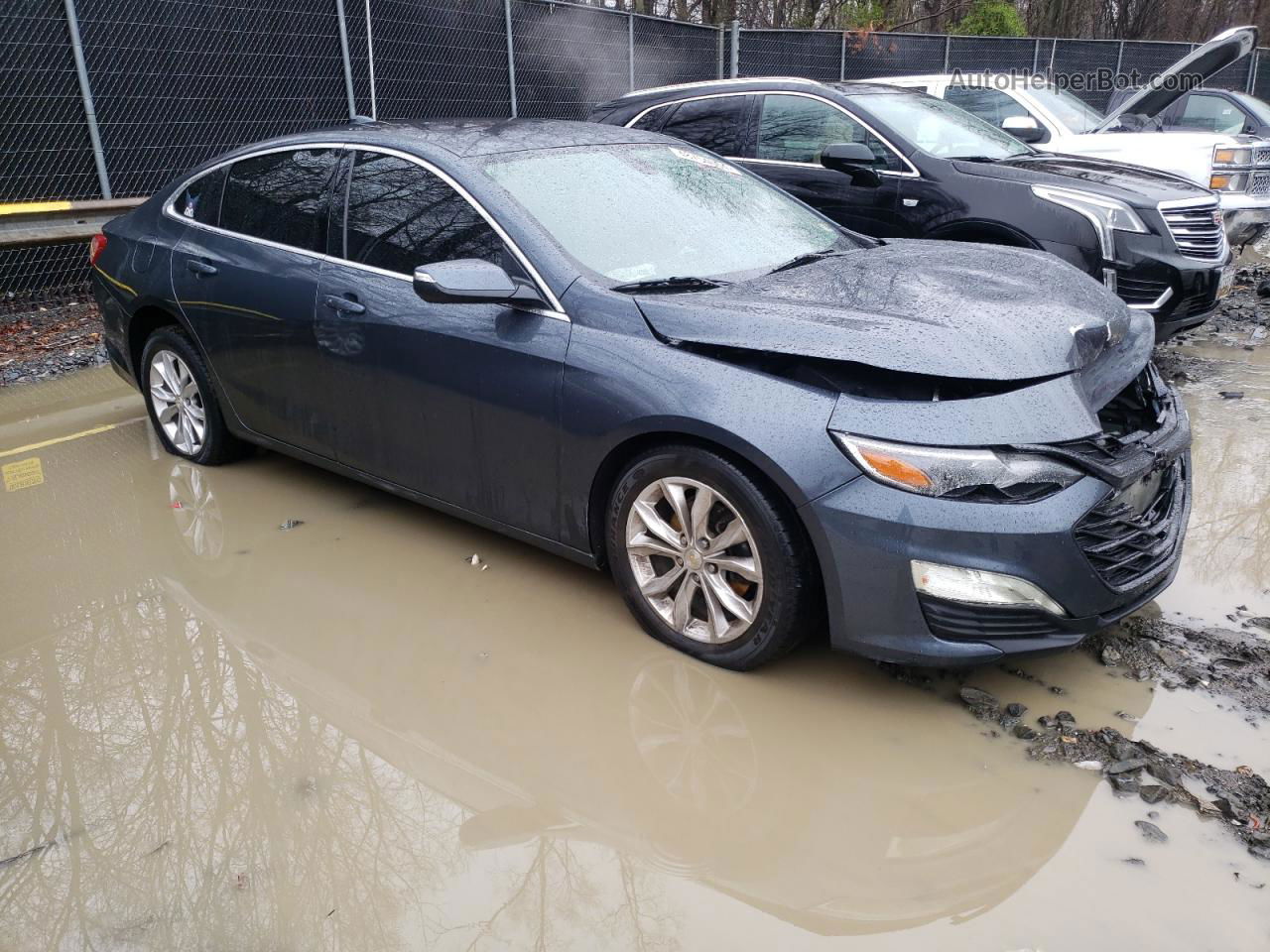 2021 Chevrolet Malibu Lt Угольный vin: 1G1ZD5ST1MF070490