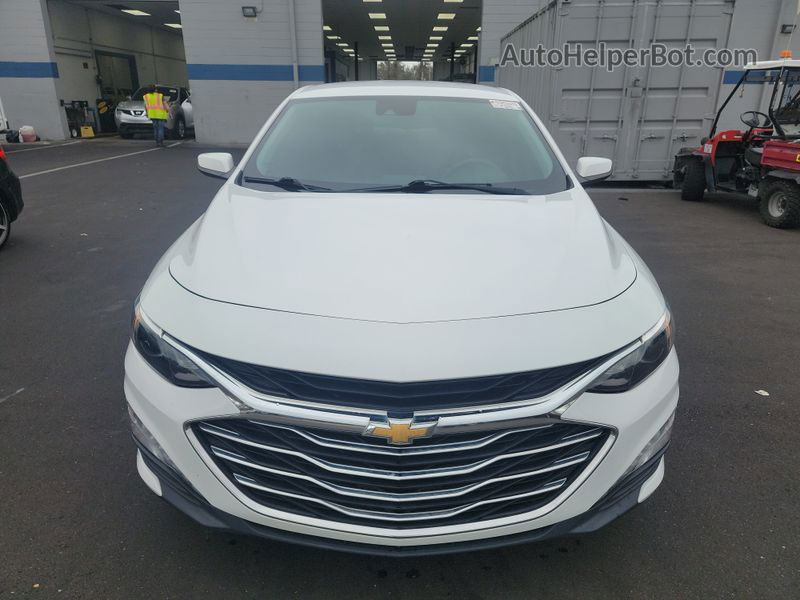 2019 Chevrolet Malibu Lt vin: 1G1ZD5ST3KF130301