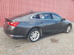 2018 Chevrolet Malibu Lt Gray vin: 1G1ZD5ST5JF223805