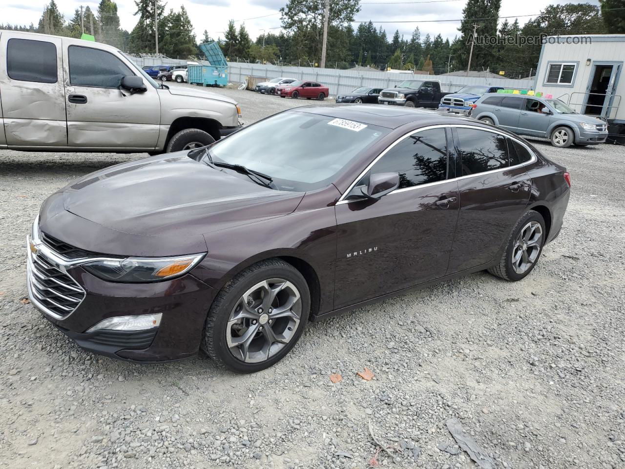 2021 Chevrolet Malibu Lt Purple vin: 1G1ZD5ST5MF013418