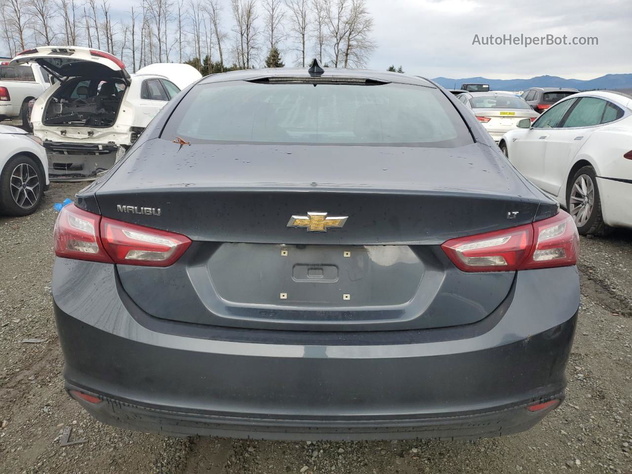 2021 Chevrolet Malibu Lt Серый vin: 1G1ZD5ST5MF030543