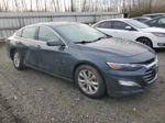 2021 Chevrolet Malibu Lt Серый vin: 1G1ZD5ST5MF030543