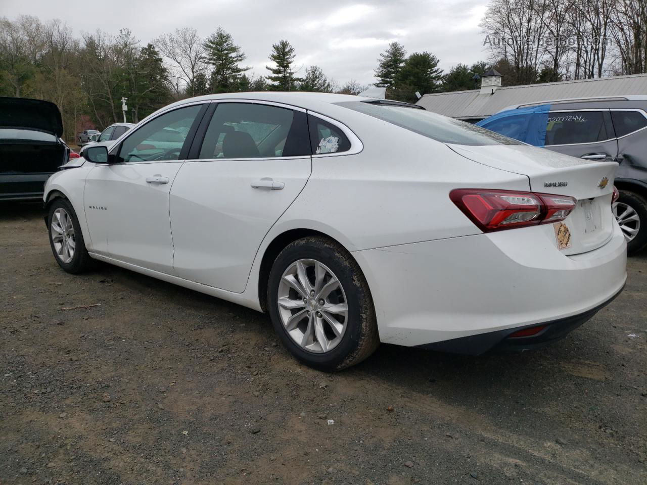 2021 Chevrolet Malibu Lt White vin: 1G1ZD5ST6MF004548