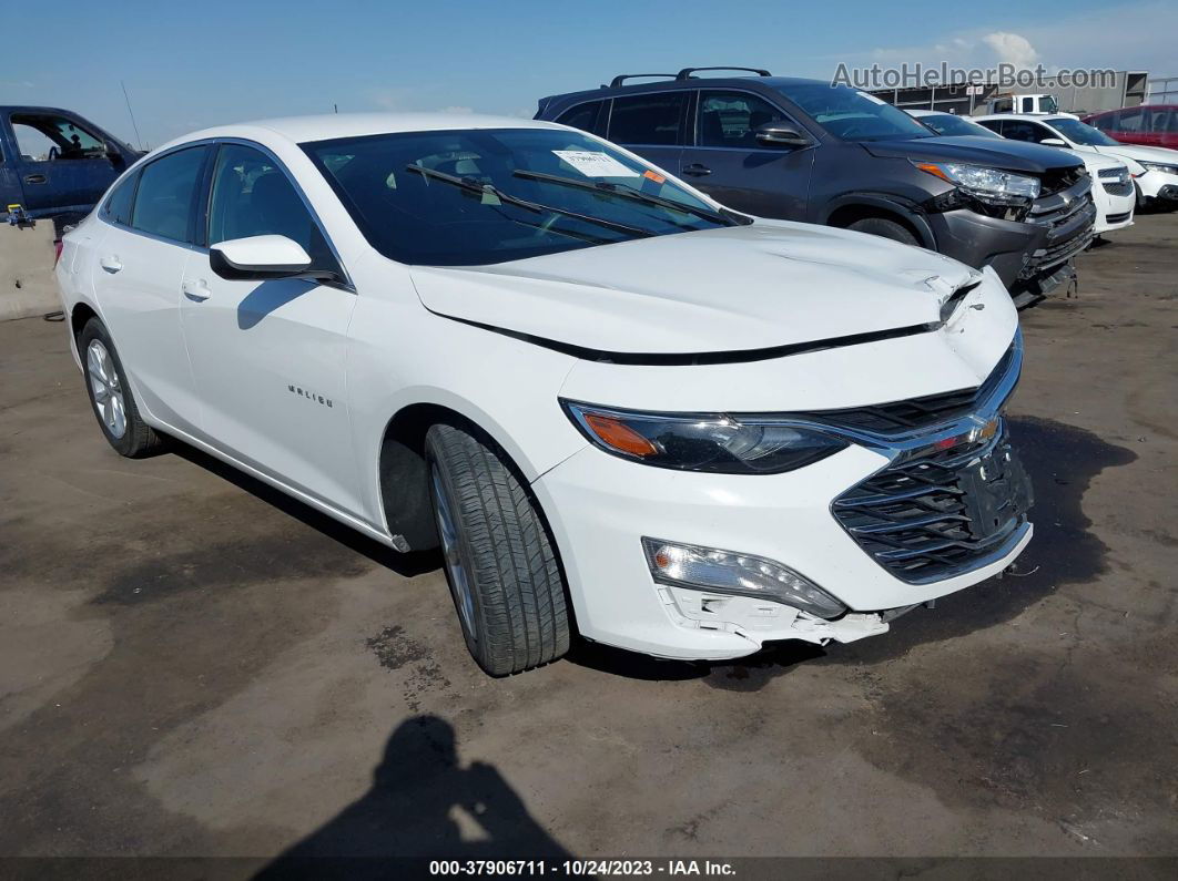 2019 Chevrolet Malibu Lt Белый vin: 1G1ZD5ST7KF158781