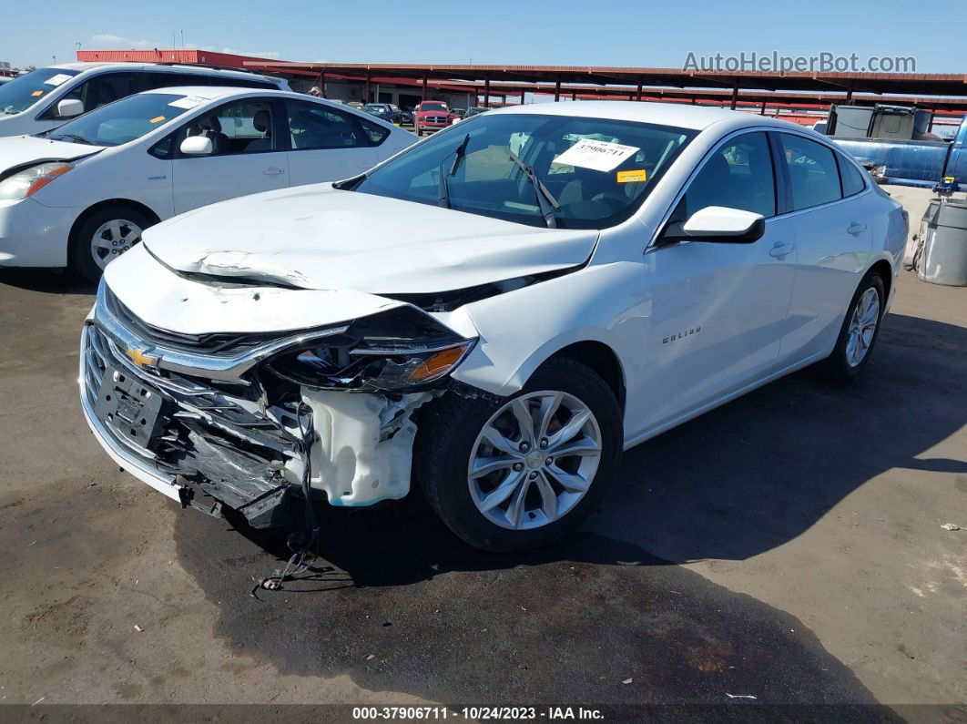 2019 Chevrolet Malibu Lt Белый vin: 1G1ZD5ST7KF158781