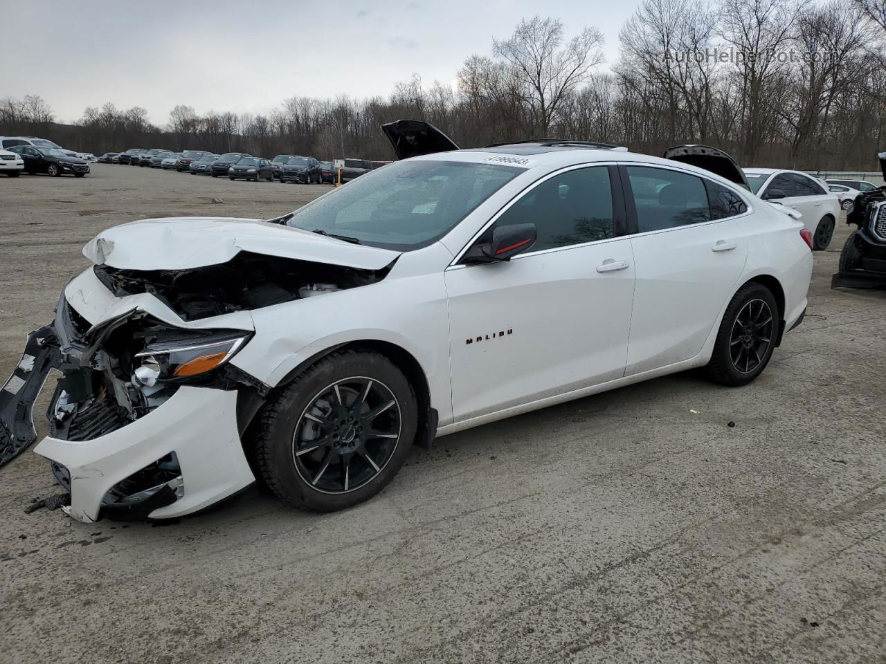 2021 Chevrolet Malibu Lt White vin: 1G1ZD5ST8MF042489