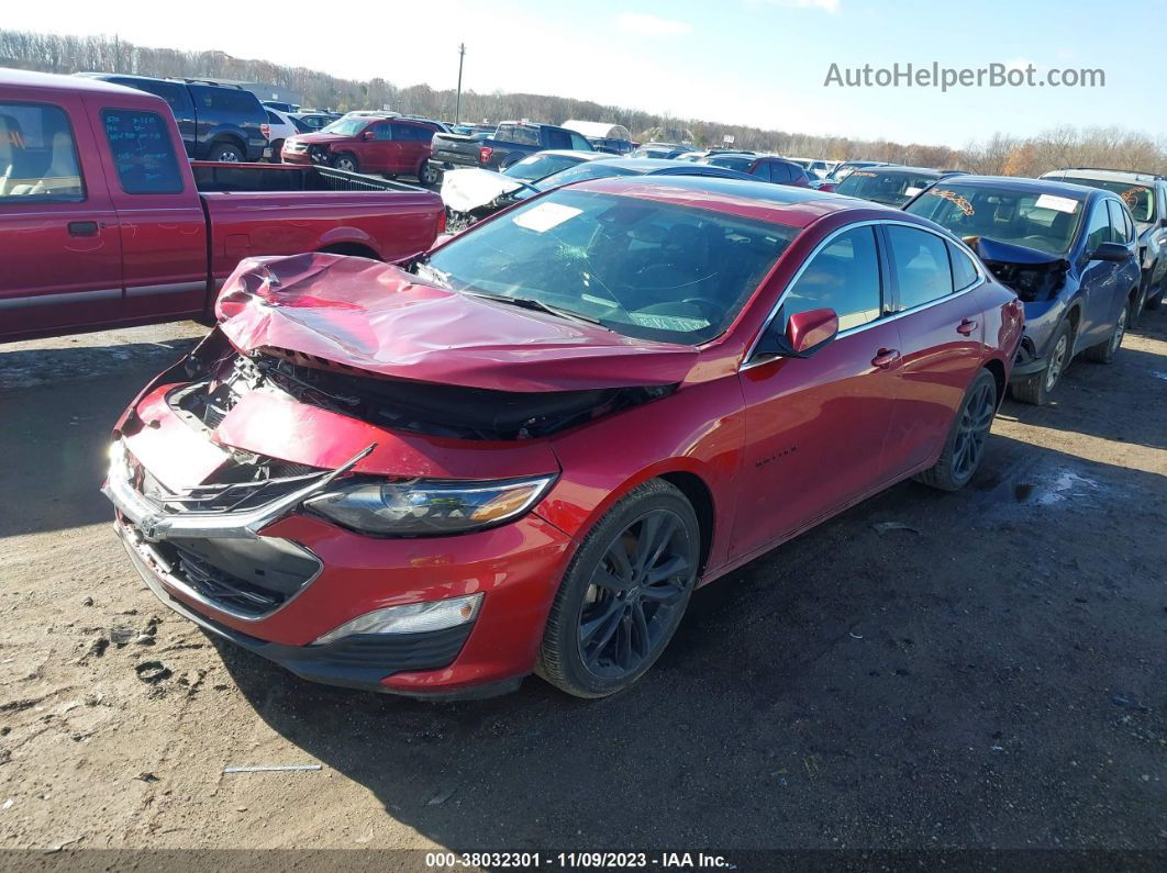 2021 Chevrolet Malibu Fwd Lt Бордовый vin: 1G1ZD5ST9MF055610