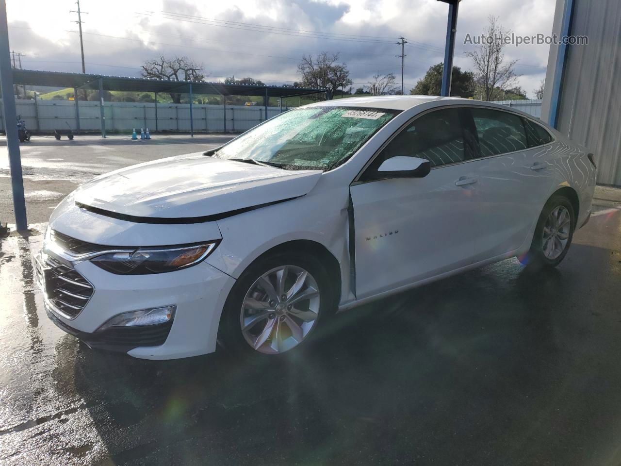 2021 Chevrolet Malibu Lt White vin: 1G1ZD5STXMF043529