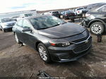 2017 Chevrolet Malibu 1lt Gray vin: 1G1ZE5ST0HF117642