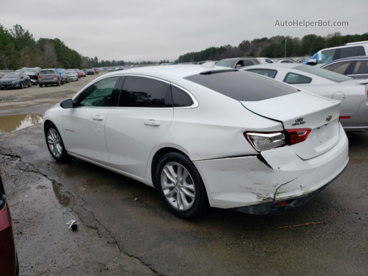 2017 Chevrolet Malibu Lt Белый vin: 1G1ZE5ST0HF148809