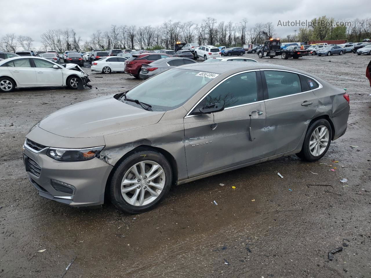 2017 Chevrolet Malibu Lt Tan vin: 1G1ZE5ST4HF262182