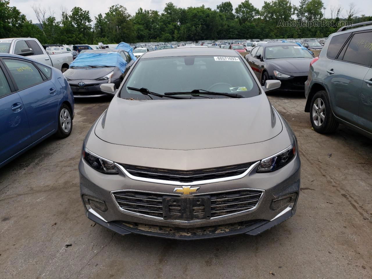 2017 Chevrolet Malibu Lt Серый vin: 1G1ZE5ST6HF202369