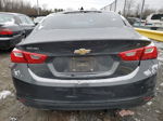 2017 Chevrolet Malibu Lt Gray vin: 1G1ZE5ST6HF209564