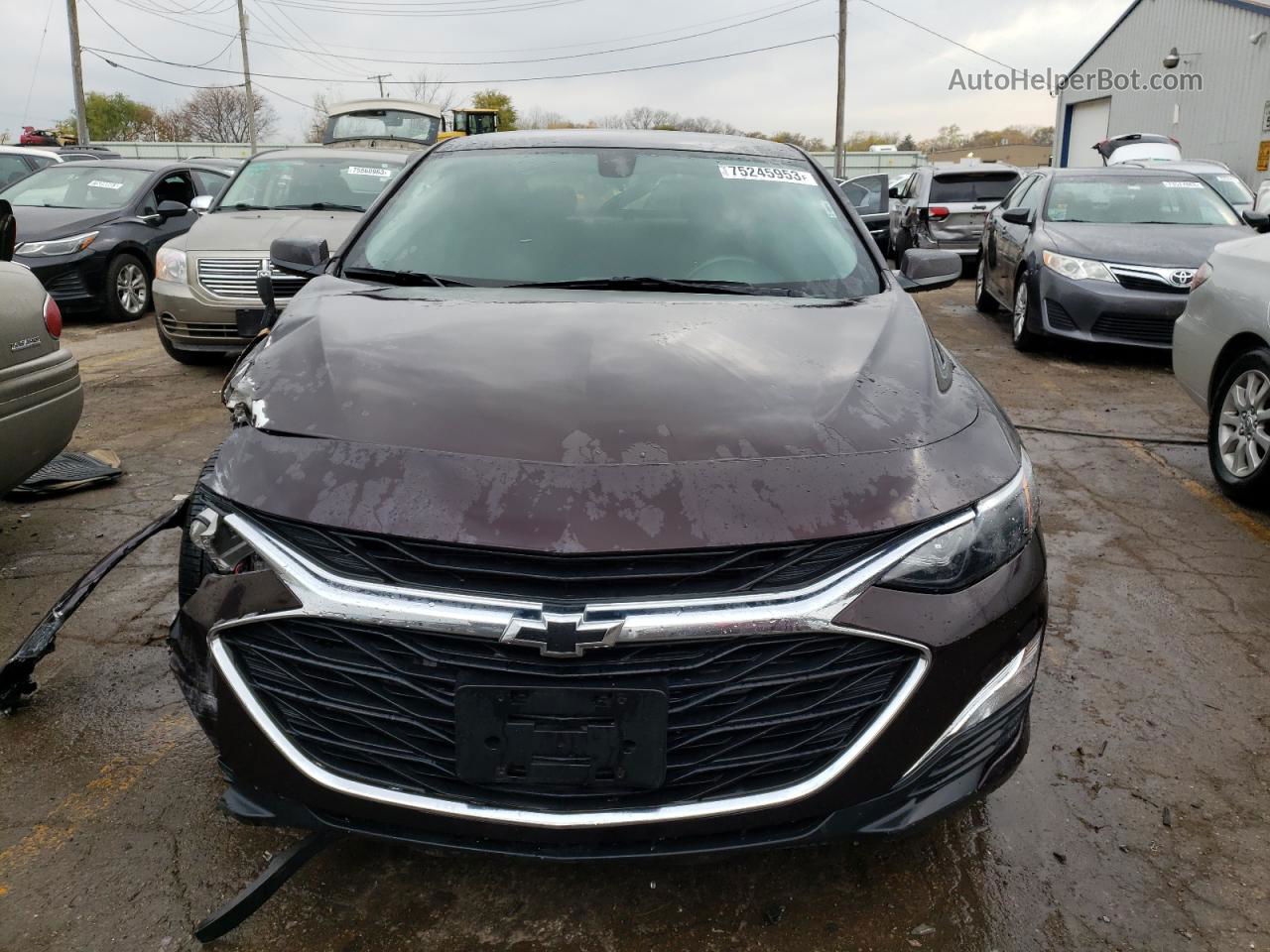 2021 Chevrolet Malibu Rs Бордовый vin: 1G1ZG5ST1MF047881