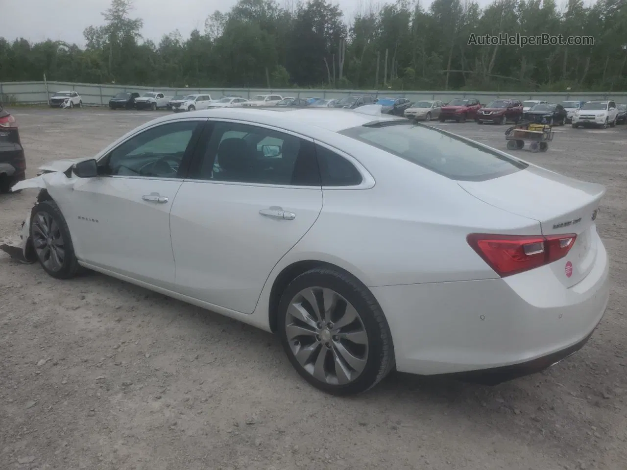 2017 Chevrolet Malibu Premier Белый vin: 1G1ZH5SX5HF114181