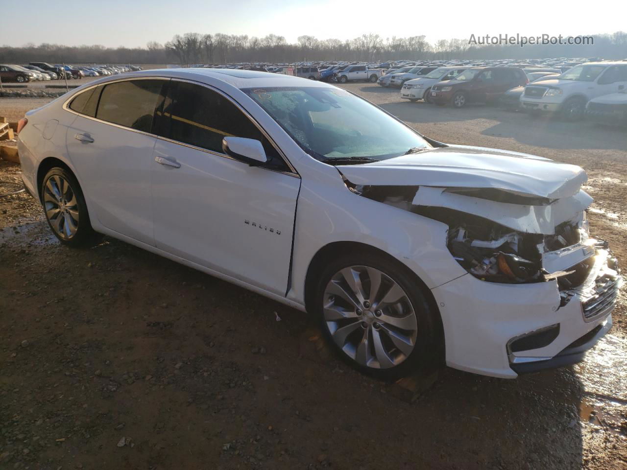 2017 Chevrolet Malibu Premier White vin: 1G1ZH5SX5HF175403