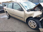 2004 Chevrolet Malibu   Gold vin: 1G1ZS52F04F249720